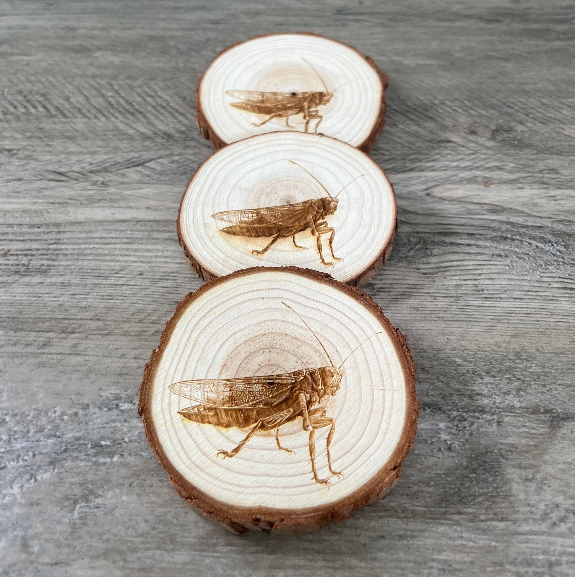Grasshopper Engraved Wood Coaster Set - Perfect Gift for Wedding, Engagement, Anniversary, or Christmas