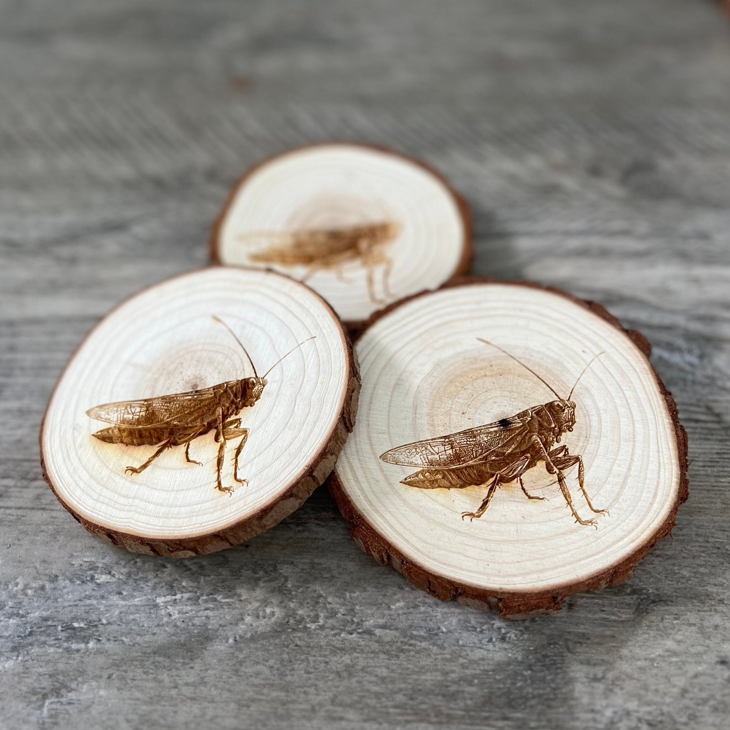 Grasshopper Engraved Wood Coaster Set - Perfect Gift for Wedding, Engagement, Anniversary, or Christmas