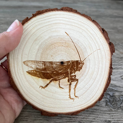 Grasshopper Engraved Wood Coaster Set - Perfect Gift for Wedding, Engagement, Anniversary, or Christmas